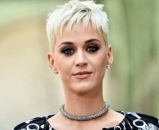 Katy Perry Meet and Greet 2023 Appearances Earnings Net Worth