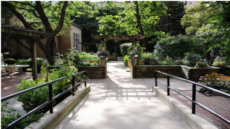 The Healing Power Of Home Gardens: A Journey To Wellness And Beauty